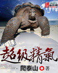 超级精气 cover 封面