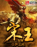 宋王 cover 封面