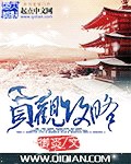 贞观攻略 cover 封面