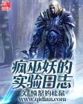 疯巫妖的实验日志 cover 封面