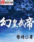 幻皇武帝 cover 封面
