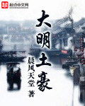 大明土豪 cover 封面