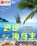 逍遥海岛主 cover 封面