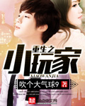 重生之小玩家 cover 封面