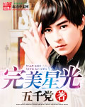 完美星光 cover 封面