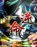 逆命 cover 封面