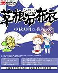 草根石布衣 cover 封面