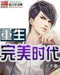 重生完美时代 cover 封面