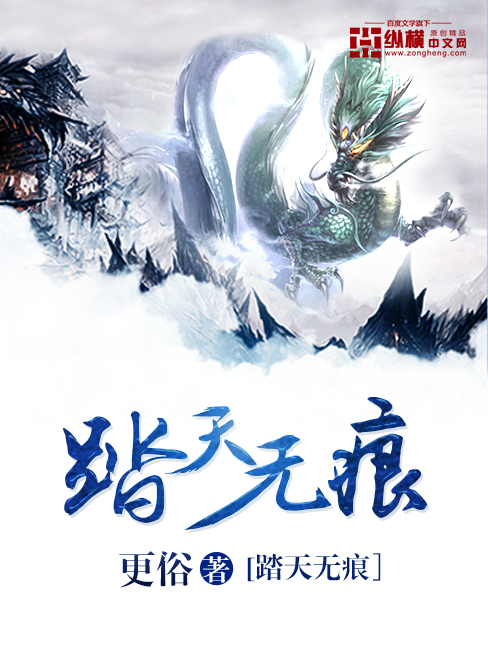 踏天无痕 cover 封面