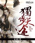 独步天途 cover 封面
