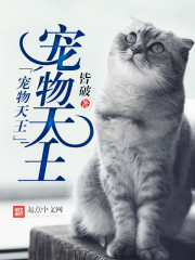 宠物天王 cover 封面