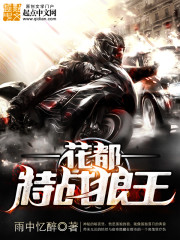 花都特战狼王 cover 封面