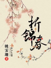 折锦春 cover 封面