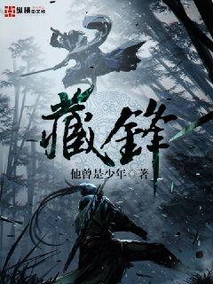 藏锋 cover 封面