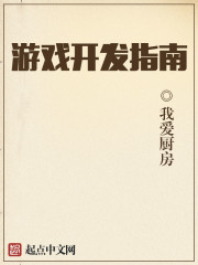游戏开发指南 cover 封面
