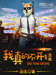 我真的不开挂 cover 封面