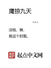 鹰掠九天 cover 封面