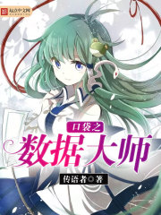 口袋之数据大师 cover 封面