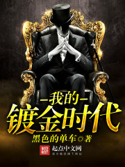 我的镀金时代 cover 封面