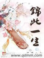 锦此一生 cover 封面
