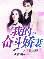 我的奋斗娇妻 cover 封面