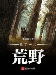 捡了一片荒野 cover 封面
