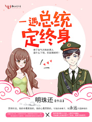 一遇总统定终身 cover 封面