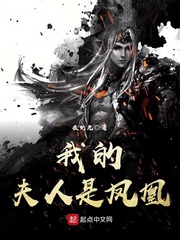 我的夫人是凤凰 cover 封面