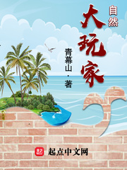 自然大玩家 cover 封面