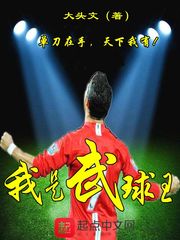我是武球王 cover 封面