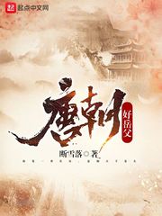 唐朝好岳父 cover 封面