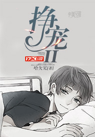 挣宠II cover 封面