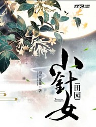 田园小针女 cover 封面