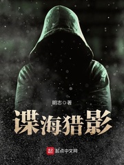 谍海猎影 cover 封面