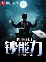 因为我有钞能力 cover 封面