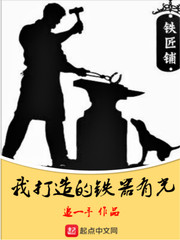 我打造的铁器有光 cover 封面