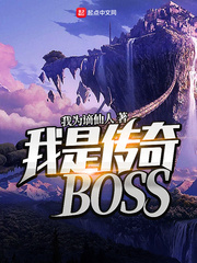 我是传奇BOSS cover 封面