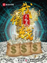 我借钱系统还 cover 封面