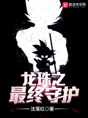 龙珠之最终守护 cover 封面