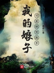 我的娘子可是绝世高手 cover 封面