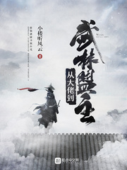 从大佬到武林盟主 cover 封面