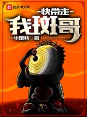 快带走我斑哥 cover 封面