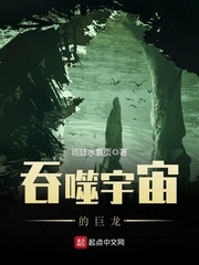 吞噬宇宙的巨龙 cover 封面