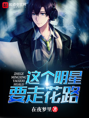 这个明星要走花路 cover 封面