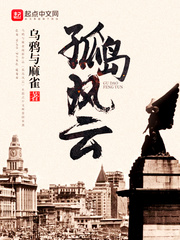 孤岛风云 cover 封面