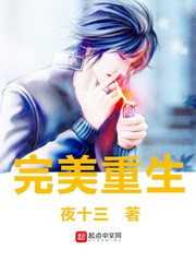完美重生 cover 封面
