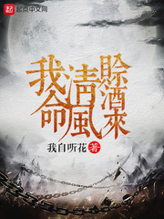 我命清风赊酒来 cover 封面