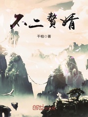 不二赘婿 cover 封面
