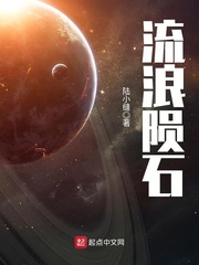 流浪陨石 cover 封面
