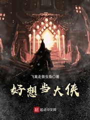 好想当大侠 cover 封面